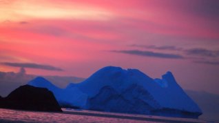 Online film Antarctica