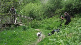 Online film Tree Keeper