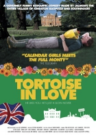 Online film Tortoise in Love