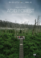 Online film Kyselý les