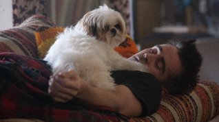 Online film Sedm psychopatů