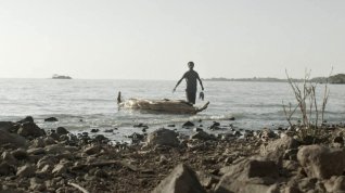 Online film L'éclat furtif de l'ombre