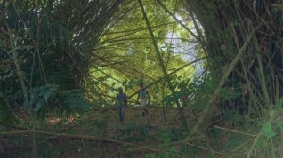 Online film Tinselwood