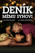 Online film Deník mému synovi