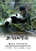 Online film Dobrodružství s pandou
