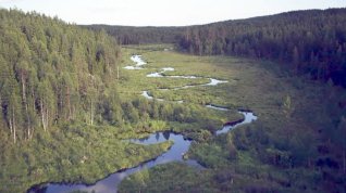 Online film Budoucnost Finska: Bioekonomika