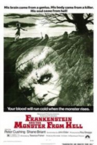 Online film Frankenstein a pekelná stvůra