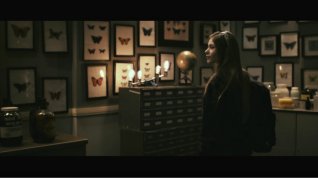 Online film The Butterfly Room