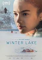 Online film Zimní jezero