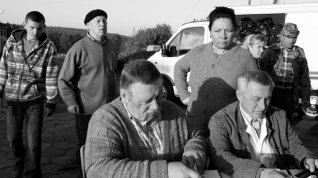 Online film Potomek knížat