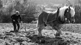 Online film Potomek knížat
