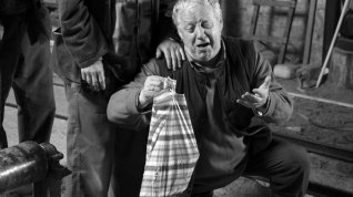 Online film Potomek knížat