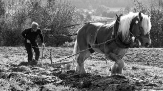 Online film Potomek knížat