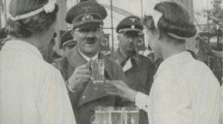 Online film Hitlerova kariéra / Adolf Hitler - Vzestup a pád vůdce zla