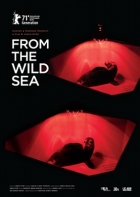 Online film From the Wild Sea