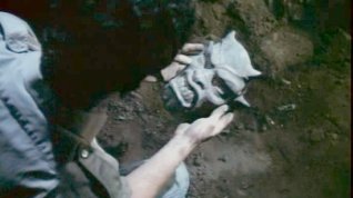 Film Démoni online Online film Démoni