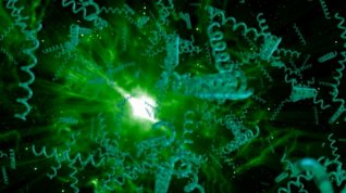 Online film Spirulina, úžasná řasa