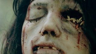 Online film Sawney: Lidská flákota