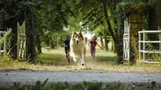 Online film Lassie se vrací