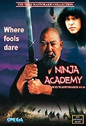Online film Ninja Academy