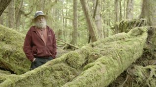 Online film Kanadské národní parky: Gwaii Haanas - divoká pacifická kráska