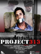 Online film Project 313