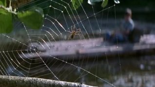 Online film Chraň i malá zvířátka