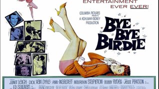 Online film Bye Bye Birdie