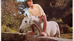Online film The Horse in the Gray Flannel Suit