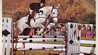 Online film The Horse in the Gray Flannel Suit