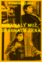 Online film Dokonalý muž, dokonalá žena