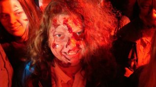 Online film Stag Night of the Dead