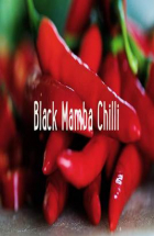 Online film Black Mamba Chilli: Tastes Good, Looks Good, Does Good!