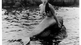 Online film Mermaids of Tiburon