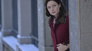Online film Despite the Falling Snow