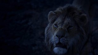 Online film Lví král
