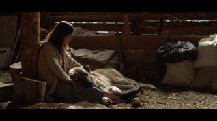 Online film Dolanma