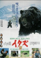 Online film Itazu - Kuma