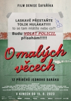 Online film O malých věcech