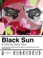 Online film Černé slunce