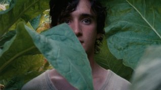 Online film Šťastný Lazzaro