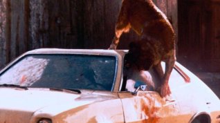 Online film Cujo