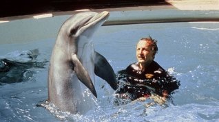 Online film Den delfína