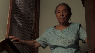 Online film The Southside