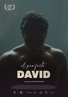 Online film El perfecto David