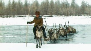 Online film Afoňka už nechce pást soby