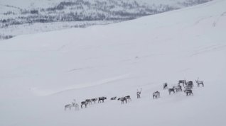 Online film Hluboká zima