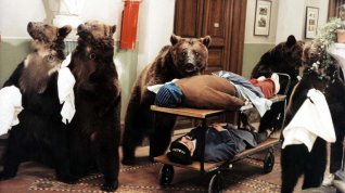 Online film Šest medvědů s Cibulkou