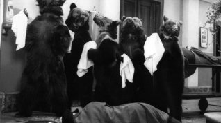 Online film Šest medvědů s Cibulkou