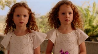 Online film Soleil battant